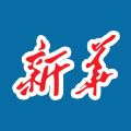 新华每日电讯