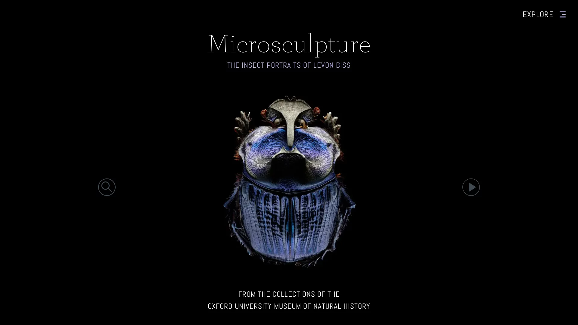 Microsculpture